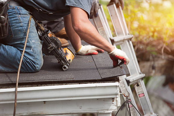 Best Shingle Roofing Installation  in Williamsport, MD