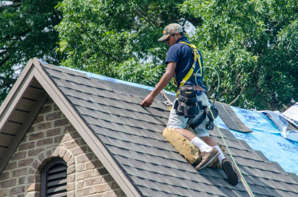 Best Storm Damage Roof Repair  in Williamsport, MD